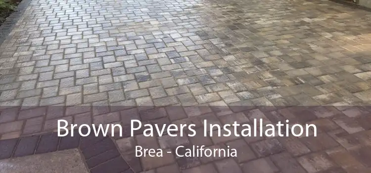 Brown Pavers Installation Brea - California