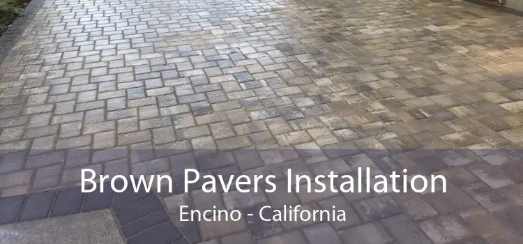 Brown Pavers Installation Encino - California