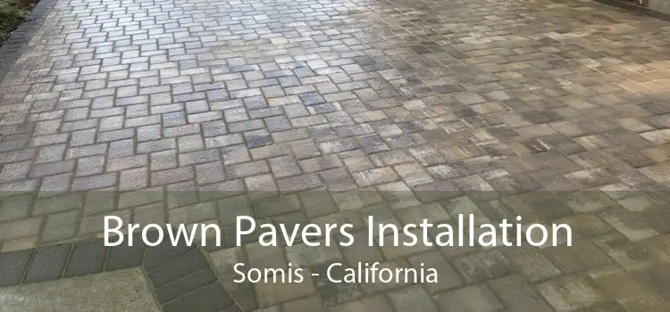 Brown Pavers Installation Somis - California