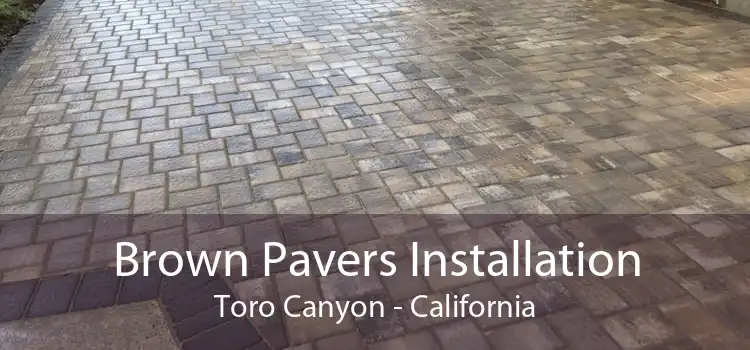 Brown Pavers Installation Toro Canyon - California