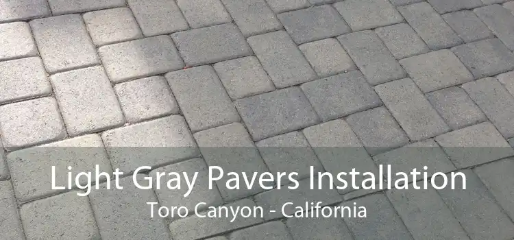 Light Gray Pavers Installation Toro Canyon - California