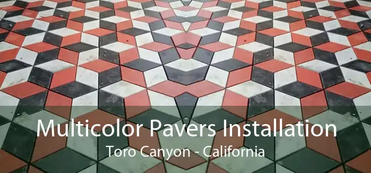 Multicolor Pavers Installation Toro Canyon - California