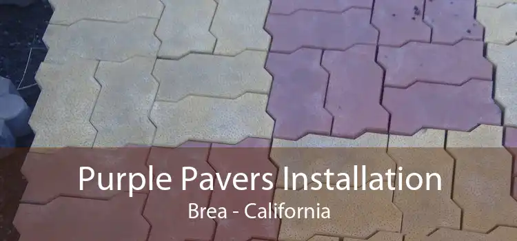 Purple Pavers Installation Brea - California