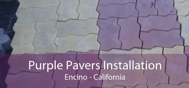 Purple Pavers Installation Encino - California