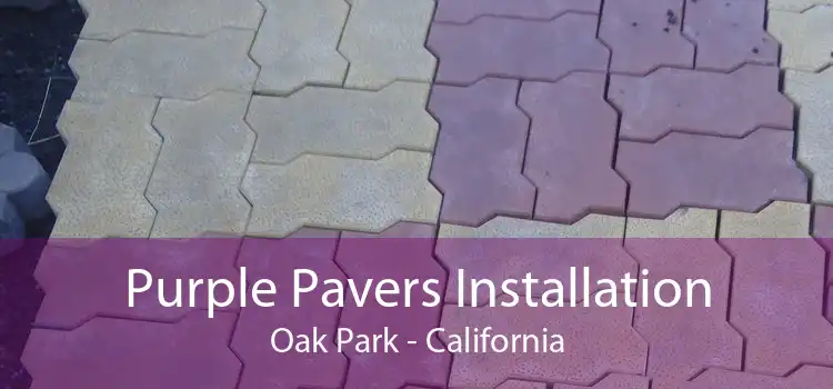 Purple Pavers Installation Oak Park - California