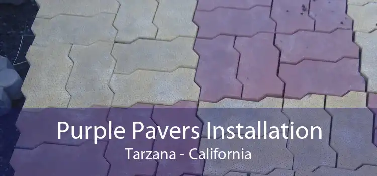 Purple Pavers Installation Tarzana - California