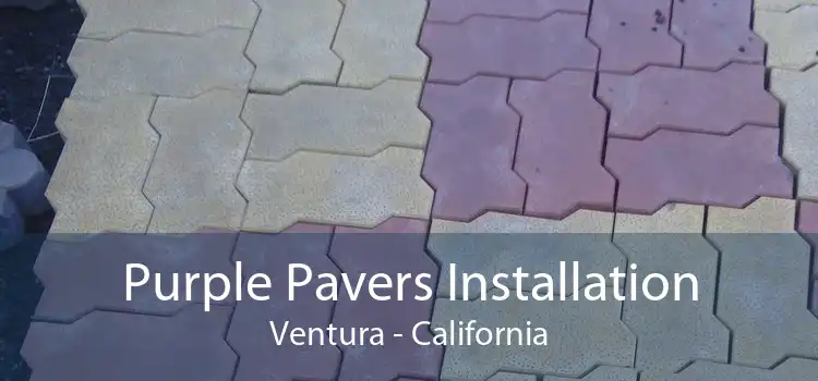 Purple Pavers Installation Ventura - California