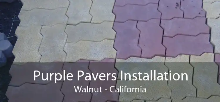 Purple Pavers Installation Walnut - California