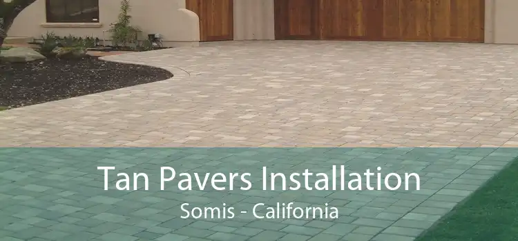 Tan Pavers Installation Somis - California