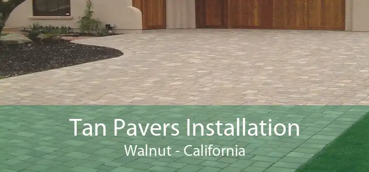 Tan Pavers Installation Walnut - California